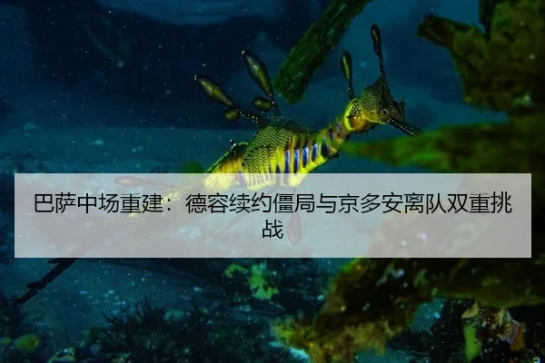 巴萨中场重建：德容续约僵局与京多安离队双重挑战