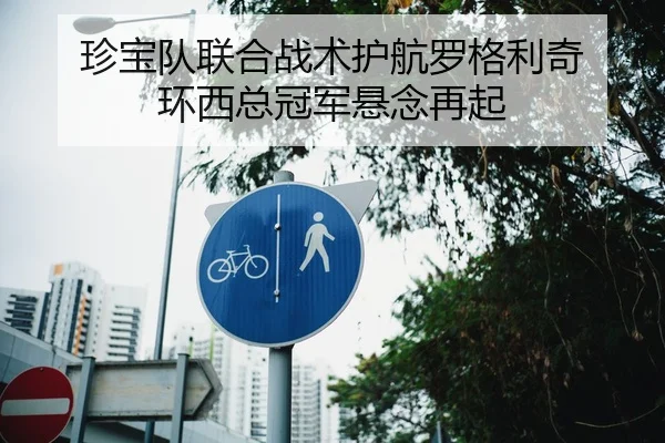 珍宝队联合战术护航罗格利奇 环西总冠军悬念再起